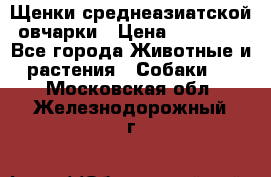 Щенки среднеазиатской овчарки › Цена ­ 20 000 - Все города Животные и растения » Собаки   . Московская обл.,Железнодорожный г.